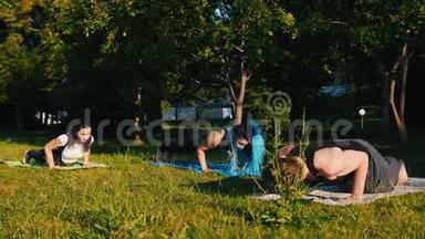 两名年轻女子在阳光明媚的日子和教练在公园里健身-趴在垫子上