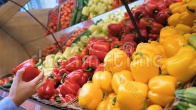 女人`白色的手拿着几个五颜六色的西红柿在市场上，并持有。 精选和购买水果或