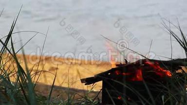 在海边做饭用的篝火。金属火盆里的木柴在沙滩上<strong>燃烧</strong>着明亮的<strong>火焰</strong>。<strong>火焰</strong>篝火