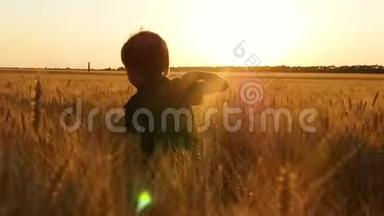 一个小男孩跑过麦田，<strong>体验</strong>情感：快乐，快乐，快乐。 农业概念