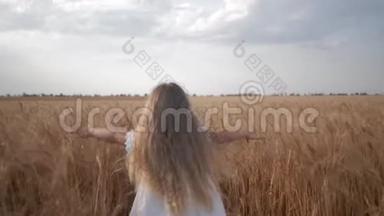 秋收麦穗金黄的成熟麦田上，长着一头秀发的小女孩奔跑着
