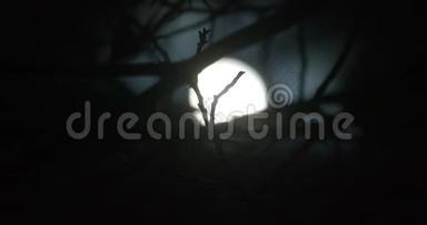 被风吹动的树枝剪影，在漆黑的夜空中伴随着月亮