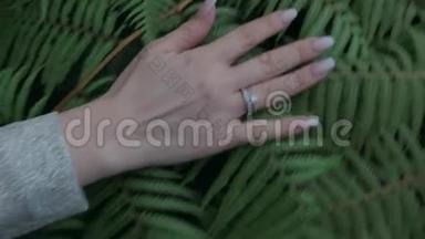 手抚摸一片蕨类植物的绿叶