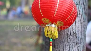 传统的红色中国<strong>纸灯笼</strong>在树上随风摇摆，背景是城市公园