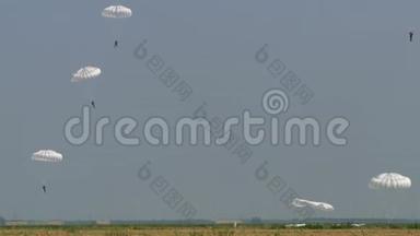一支伞兵<strong>部队</strong>降落在一片空地上，白色的圆形降落伞