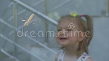 小女孩好奇地看着坐在玻璃门上的螳螂<strong>蚂蚱</strong>。