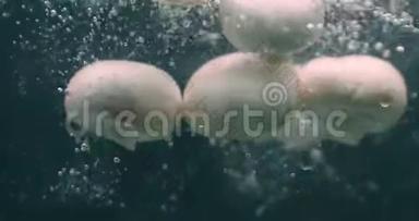 蘑菇<strong>落入水中</strong>，缓慢漂浮。