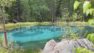 俄罗斯阿尔泰共和国明亮的绿松石间歇泉湖。 在森林里迎接<strong>夏秋</strong>