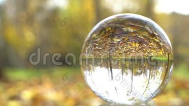 大自然视频场景场景，用水晶球，用五颜六色的枫叶和其他黄色树叶的背景特写