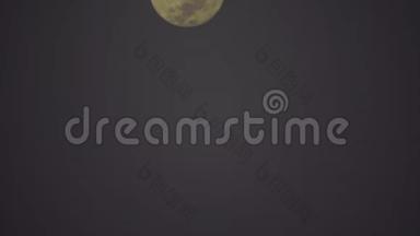 月亮在一年中最遥远的夜晚落在雾后，从750毫米的镜头中拍照
