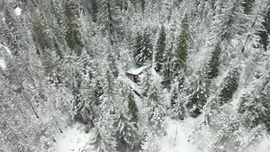 4k空中观景环绕一个被白雪覆盖的树木环绕的小屋
