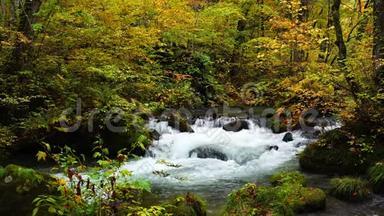 在秋天的季节里，在森林里<strong>绚丽多彩</strong>的树叶下，奥拉西山溪流的景色流过。