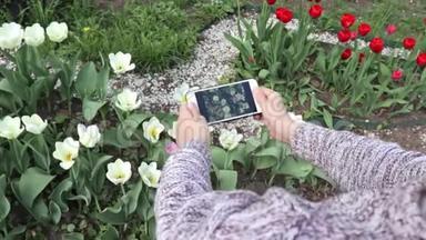 一个十几岁的男孩在春天的花园里用智能手机制作郁金香花的视频或照片