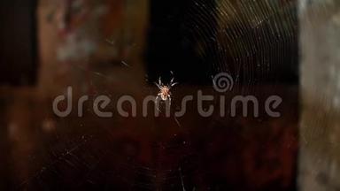 蜘蛛和蜘蛛网在一所废弃的房子的窗户里。 <strong>恐怖恐怖</strong>的黑暗场景