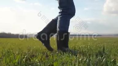 男人的<strong>农民</strong>生活方式，一个红色的脖子脚在橡胶靴的帽子是走在绿色的田野底部的景色。 春天的<strong>丰收</strong>