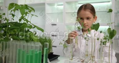 化学实验室的儿童、在校女生学习植物、课堂上的儿童教育项目