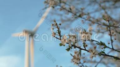 春天的苹果树，背景是风力涡轮机