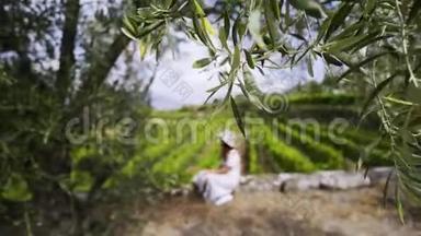 坐在树下的女人，坐在山上的藤蔓植物的田野里