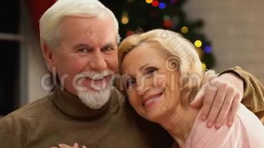 一对幸福的老夫妇共同庆祝圣诞节，确保退休的肖像