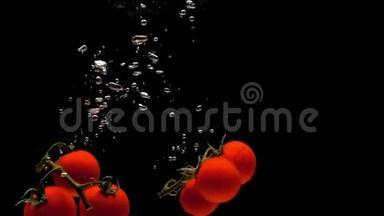 樱桃番茄的两个枝条在黑色的背景下<strong>落入</strong>透明的<strong>水中</strong>