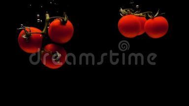樱桃番茄的两个枝条在黑色的背景下落入透明的水中