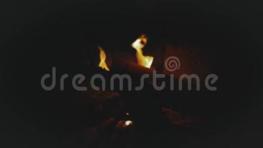 一群朋友在<strong>海边</strong>的篝火旁玩，晚上在<strong>海边</strong>的篝火旁，观看篝火的特写，快速视频
