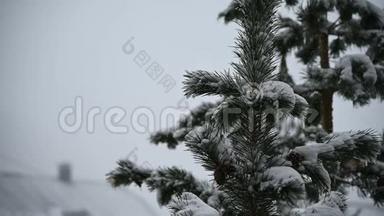 屋顶的房子在冬天降雪在针叶林。 柔和的白雪皑皑的圣诞节早晨，下着大雪