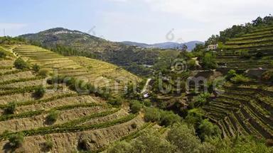 美丽的葡萄牙-杜罗谷的葡萄园，名为“淡水河谷”