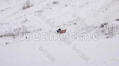 女孩在雪碟上从高高的雪山上翻滚。 圣诞节。 在寒冷的日子里举行雪的运动会