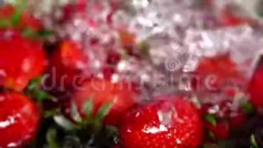 草莓果灌注水.. 关闭作物水平运动。