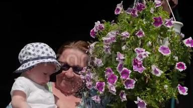 装饰用的花。 <strong>娇艳</strong>的花朵.. 祖母带着婴儿浇花。