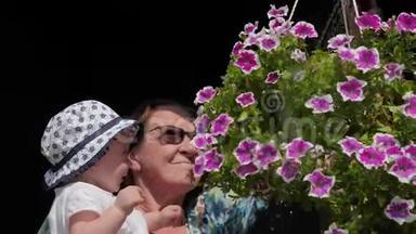 装饰用的花。 <strong>娇艳</strong>的花朵.. 祖母带着婴儿浇花。