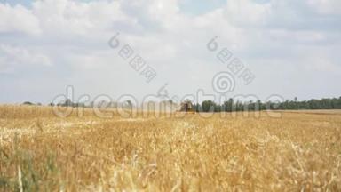 以农村为背景，晴天联合收割机采熟小麦的自然景观。 收获