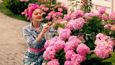 夏天，女人在院子里浇花。 女人喜欢粉色绣球花。 爱护花朵的观念.. 粉色