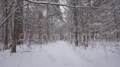 漫步在美丽的冬林中，带着<strong>清新</strong>的<strong>雪</strong>。
