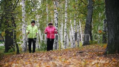在斯堪的纳维亚<strong>散步</strong>时，成熟的女人在秋天的<strong>公园里散步</strong>。 慢动作