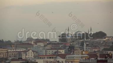 伊斯坦布尔<strong>老城区</strong>上空的飞鸟，在多云的天空中有历史建筑。 慢动作，全高清<strong>视频</strong>，240fps