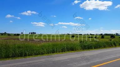 镜头平底锅俯瞰郁郁葱葱的农村田野，白天随风吹长草。 美丽的风景园林