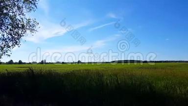 镜头平底锅俯瞰郁郁葱葱的农村田野，白天随风吹长草。 美丽的风景园林