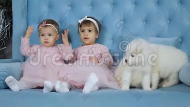 婴儿时代，穿着粉红色连衣裙，头上戴蝴蝶结的小双胞胎，和白色小狗坐在沙发上拍照