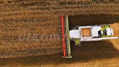 近距离空中视野4k分辨率现代联合收割机收集成熟的小麦，留下一团灰尘