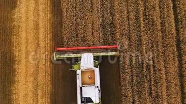 夏季小麦的近距离鸟瞰收获。 田间劳动的收割者.. 农业联合收割机