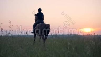 一个女人骑着马飞驰。 一名运动员骑着一匹马在田野里飞驰。