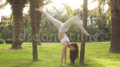 倒立瑜伽女人练习瑜伽向下面对树姿势。