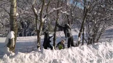 一个年轻的家庭走过白雪覆盖的山林.. 他们站在树<strong>下</strong>，把雪从树上摇<strong>下</strong>来。 他们