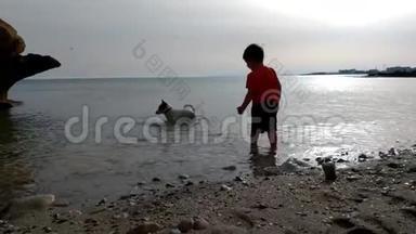 日落时在海滩上玩耍的儿童和狗的<strong>剪影</strong>。 男孩和他们的宠物玩得很开心。