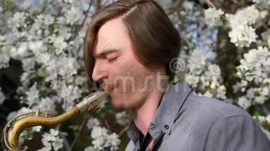 年轻人演奏萨克斯管。 开花的海棠.. 春天果树的枝.. 白色花朵，特写