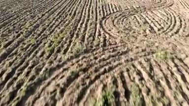 有犁田和犁沟的乡村鸟瞰图，绘制干燥的土地