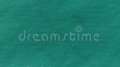 从高空俯视绿色海水纹理. 照相机飞过水面，俯瞰水面