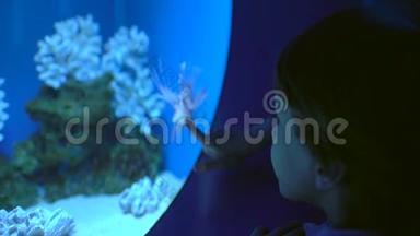 孩子，小男孩看着，在海洋馆的水下水族馆里看鱼。 <strong>宠物店</strong>。 男孩看鱼游泳